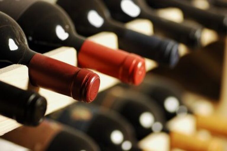Température idéale pour conserver le vin en cave