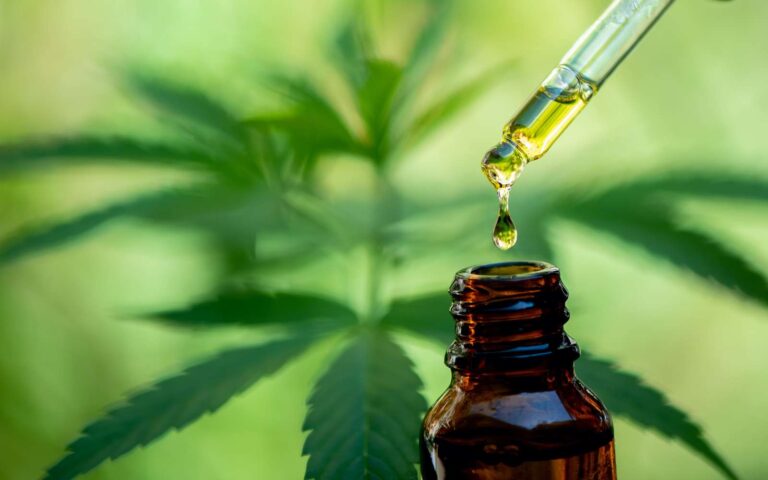 Préparation d'huile de cannabis maison avec ingrédients naturels